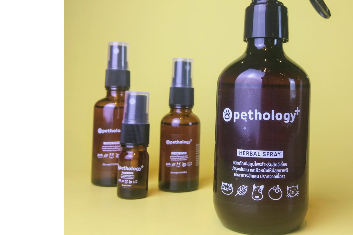 Pethology Plus BKKDW2024 pethology-plus-bkkdw2024